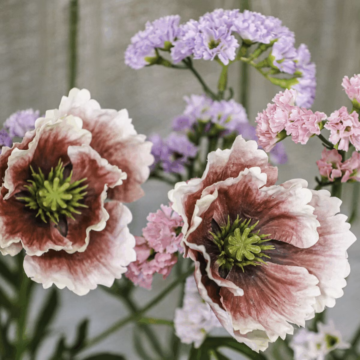 32d411859c911436d6f1cd3259744216