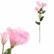 34094d339912ee4988ac9017444141b0
