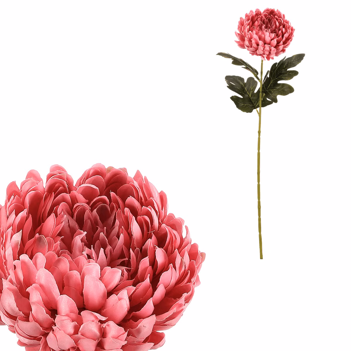 3474ce05bc9fd76d8687d0438d75bc40