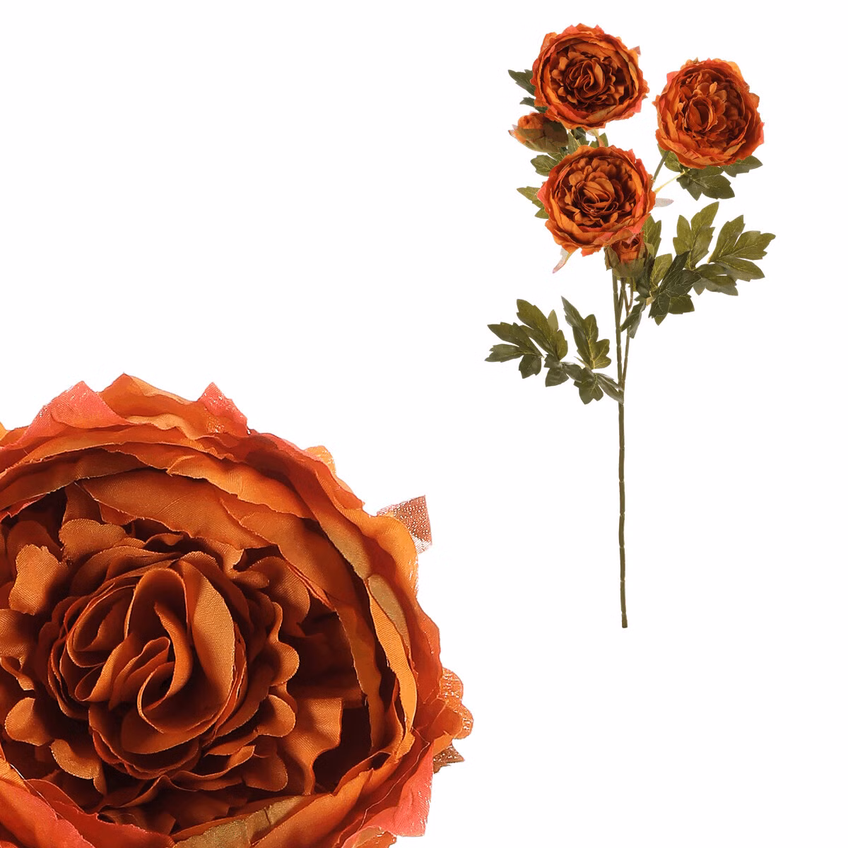 34c60b994e1a7d3d0c8f8c351bac77c0