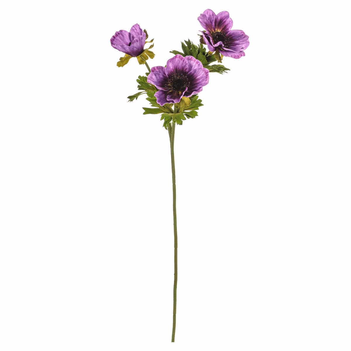 362275f01940c6e884c08e6d64d7a33e