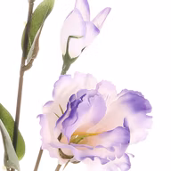 380d6385446cf7faaeef1cd25593d7bc