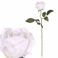 397083b6e80e309ae6b610aca534c971