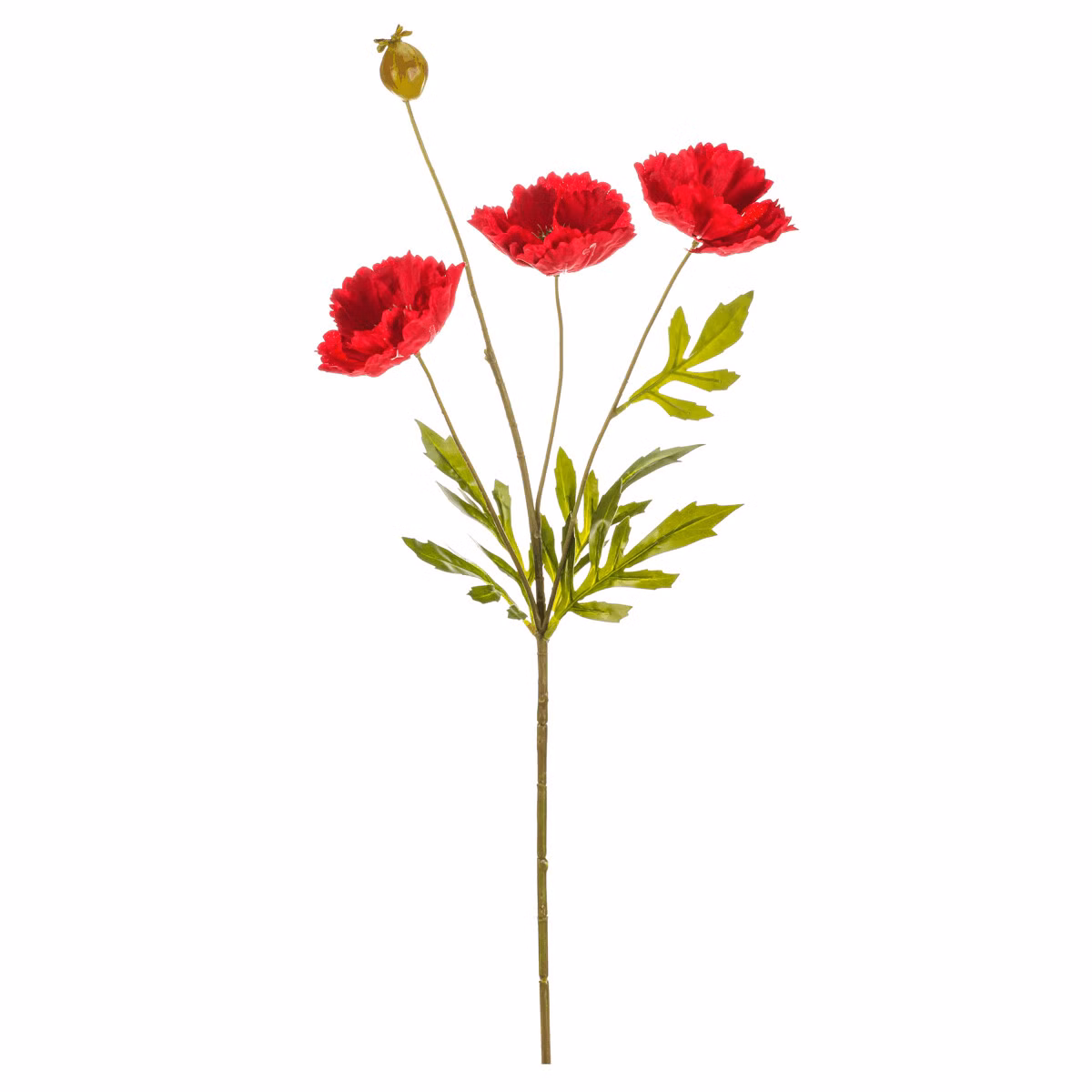 3b1dad1b0ffc7f75504a4dbc0f0090c9