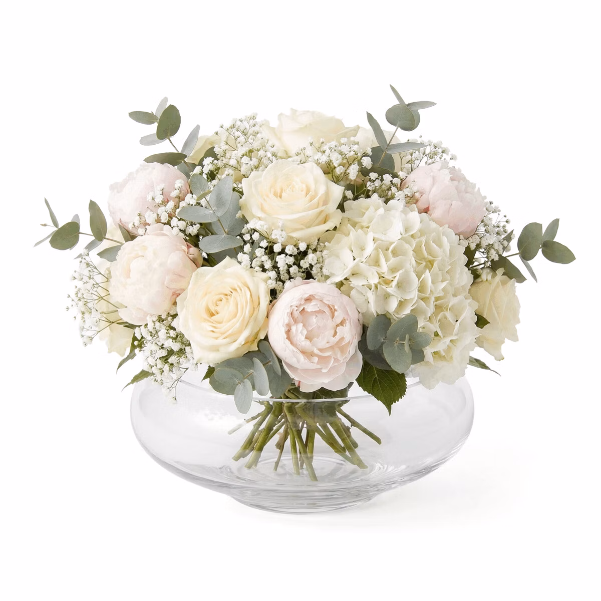 3c52d73ae8066ab83511d98d42b27da1