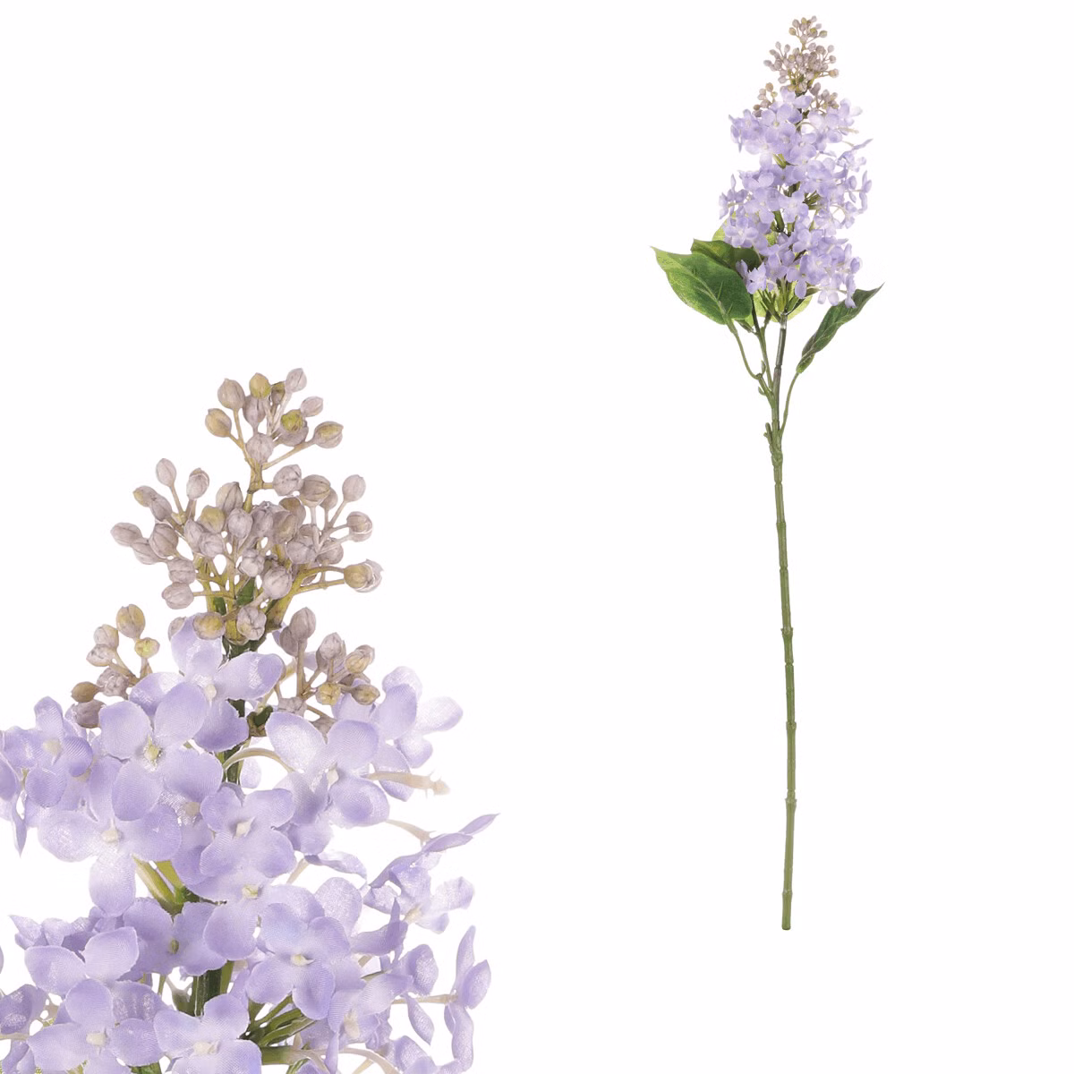 3ce11416ac1dc363d916867dbf66365f