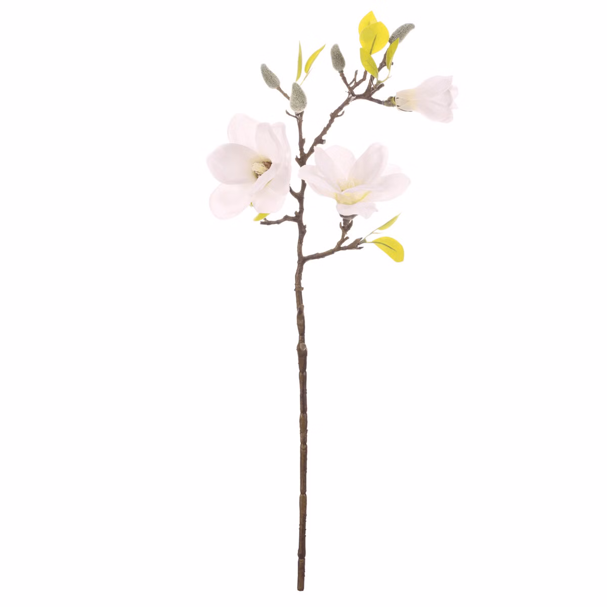 3db6e3dd90620db8f7a587b15e56a336