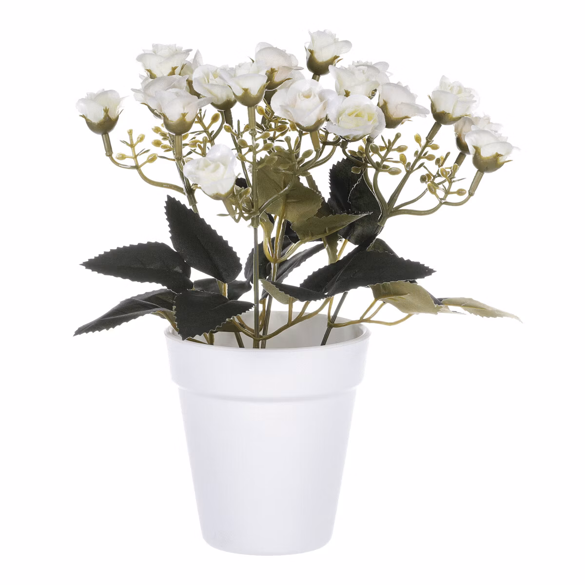 3dc647c89f5ea990c7cab33477de5a11