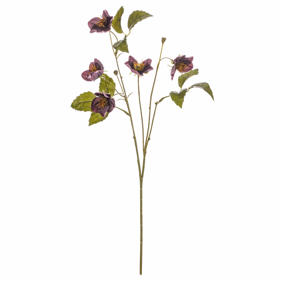 3fc0e8dabd3ea4a9f5b598f8affc33d4