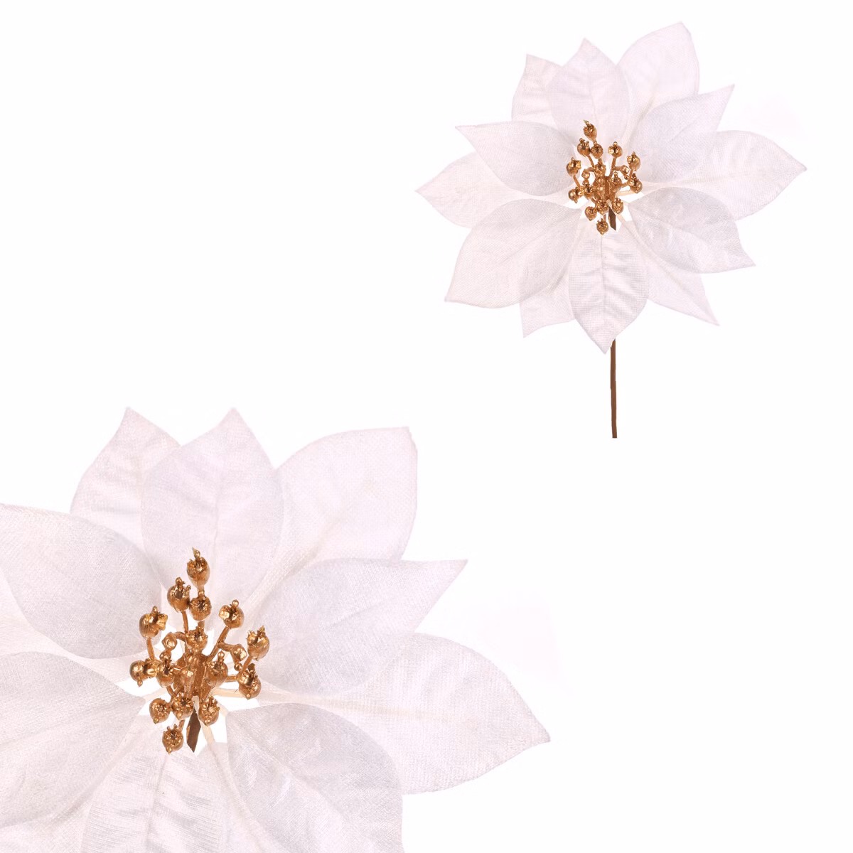 400c674839aa258f8d7645acf5895390