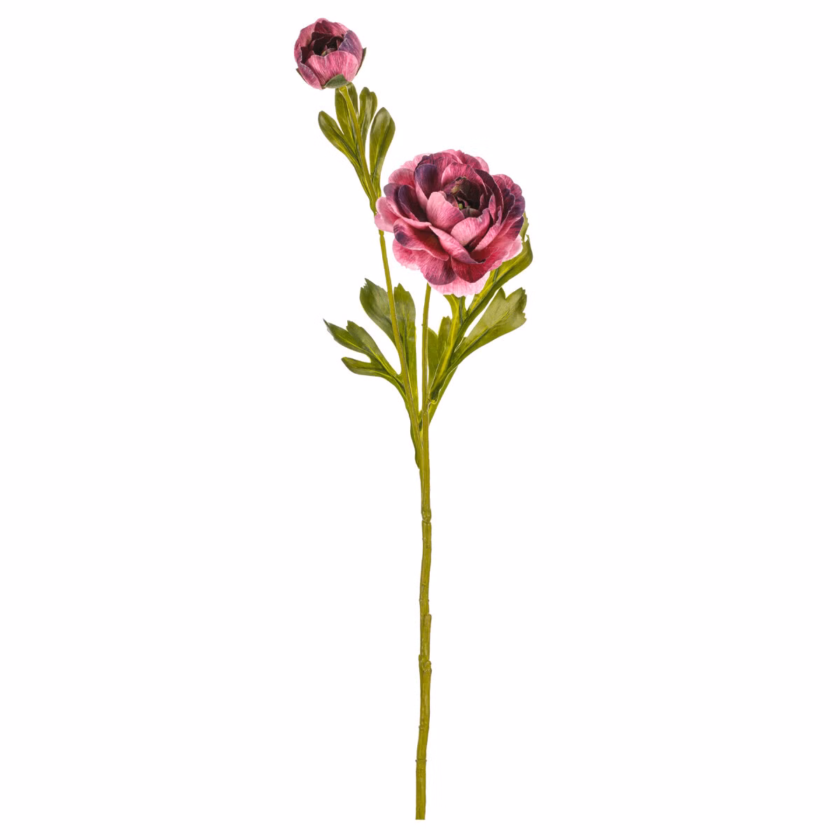 4021258fe190a6d56c78b443314cbb94