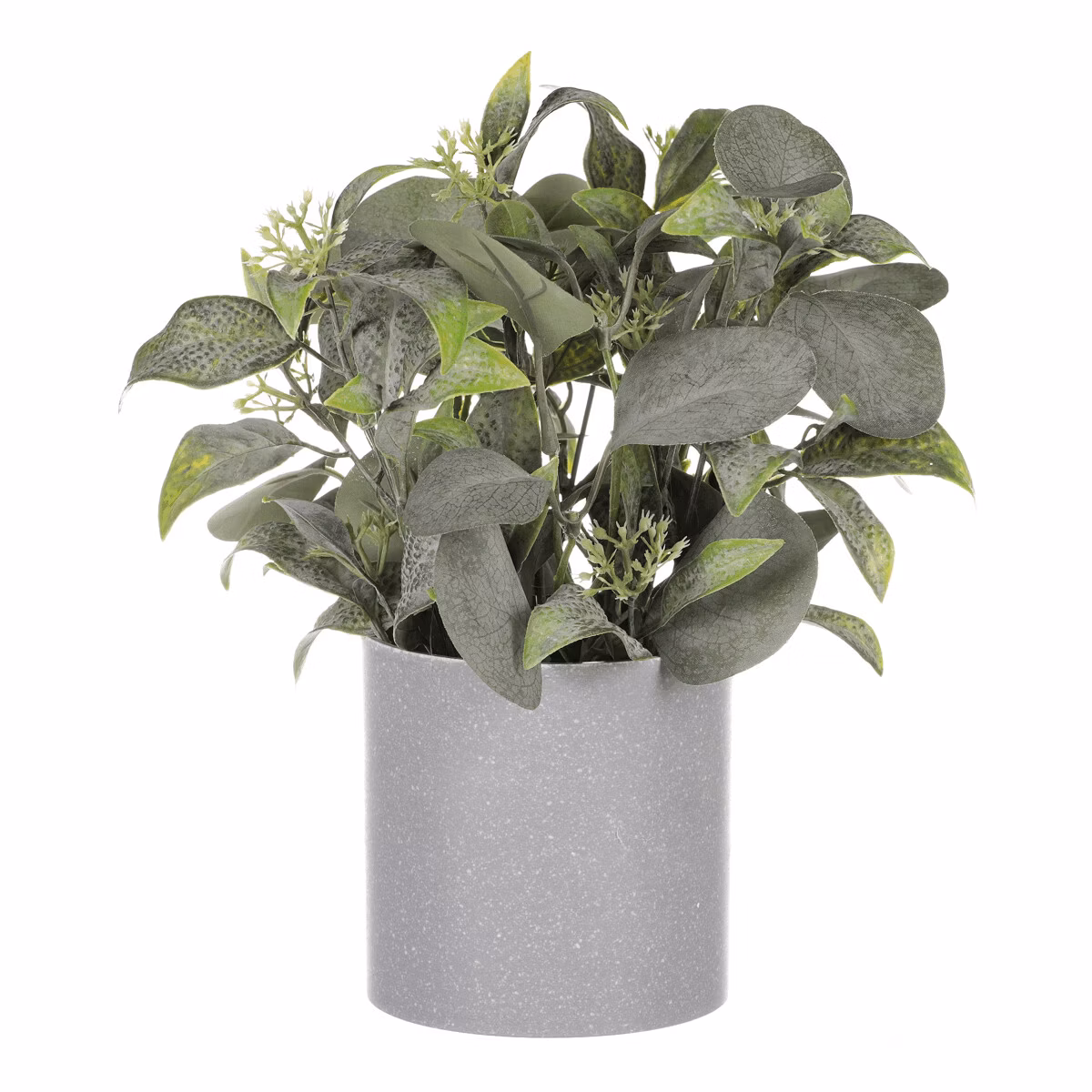 418101d37873c3909822161df18da5f0