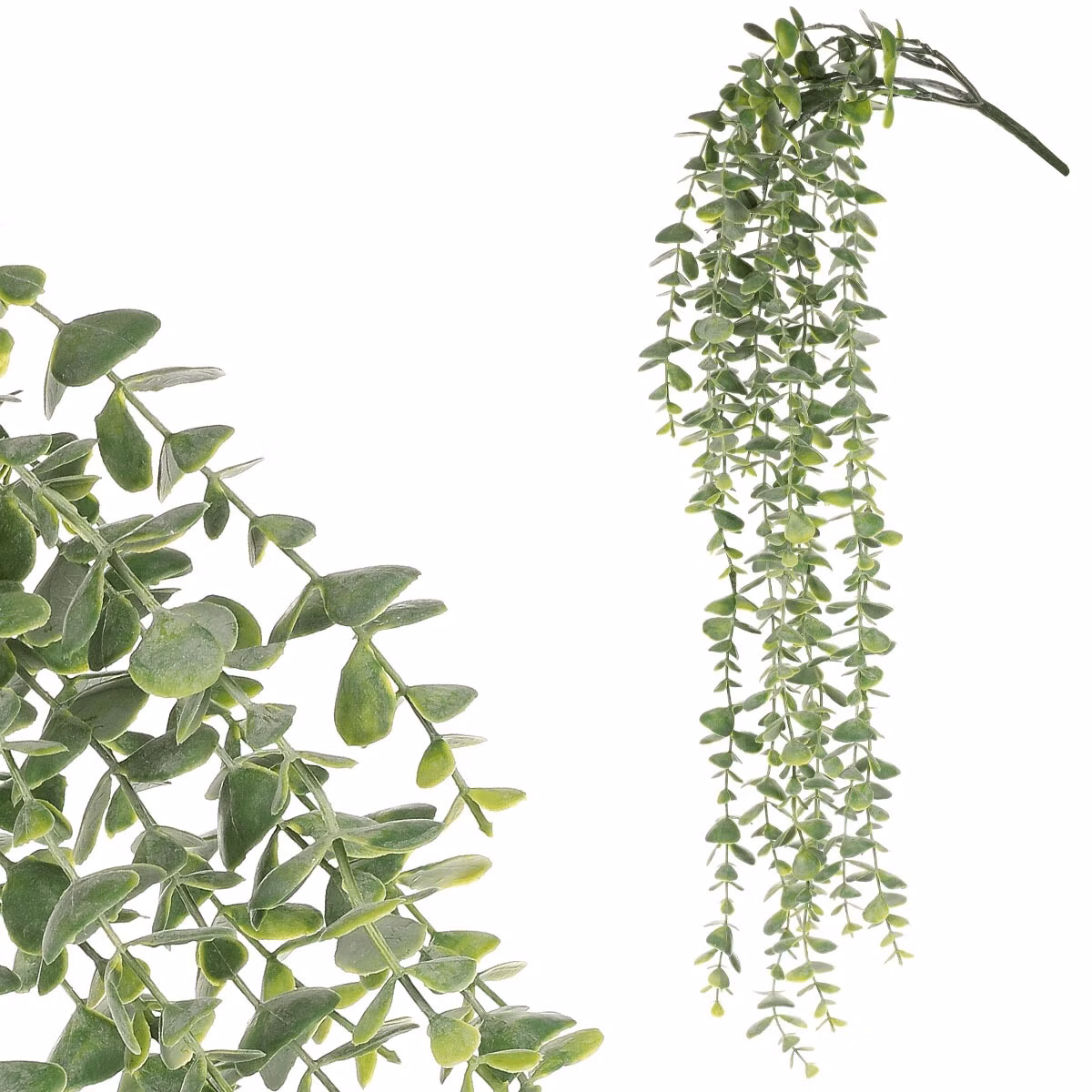 4214415de372f390113ee394a8619202