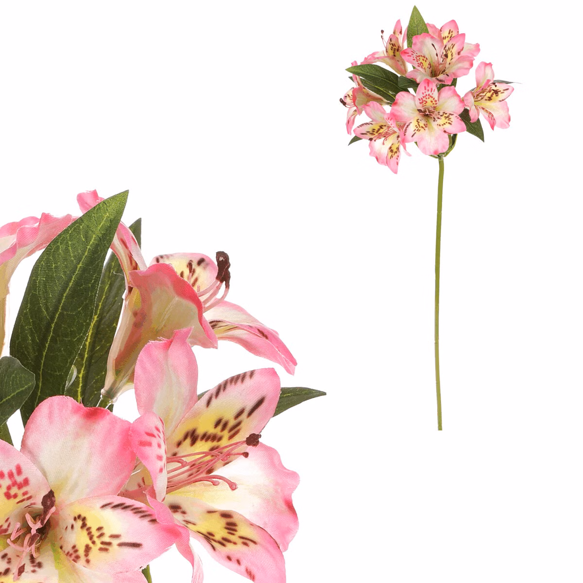 42cf5e501d0e39df5aa0bae644a1883f