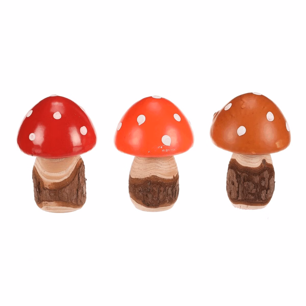 43320f56cb9b1bcd99f8bf597a323204