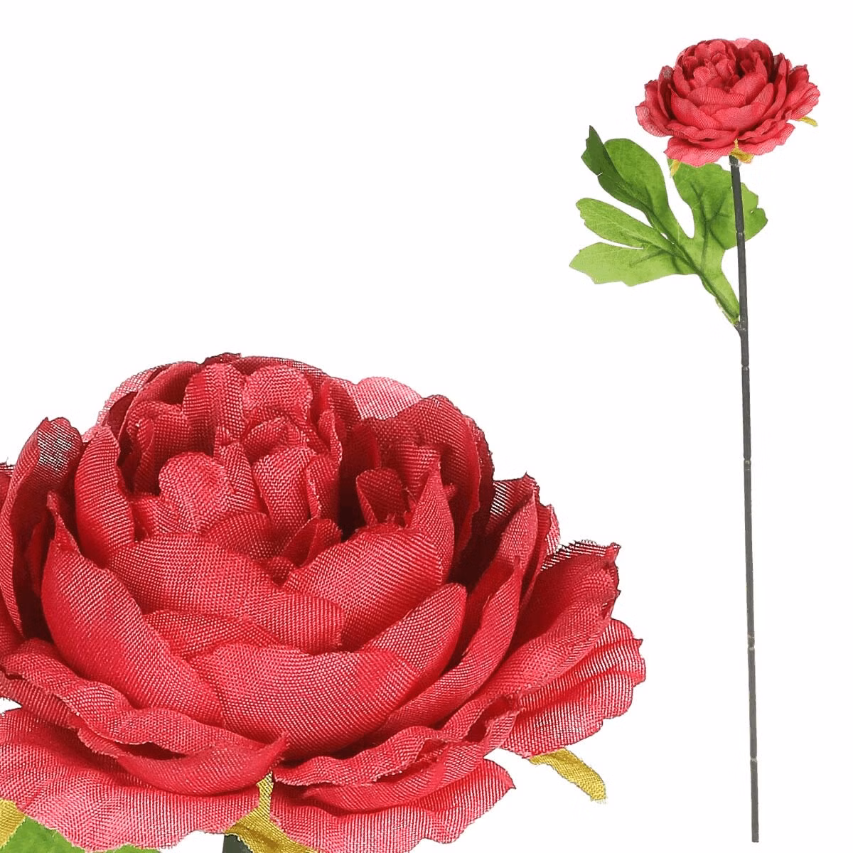 4373f50a419101023a5ac60531b1c8b5