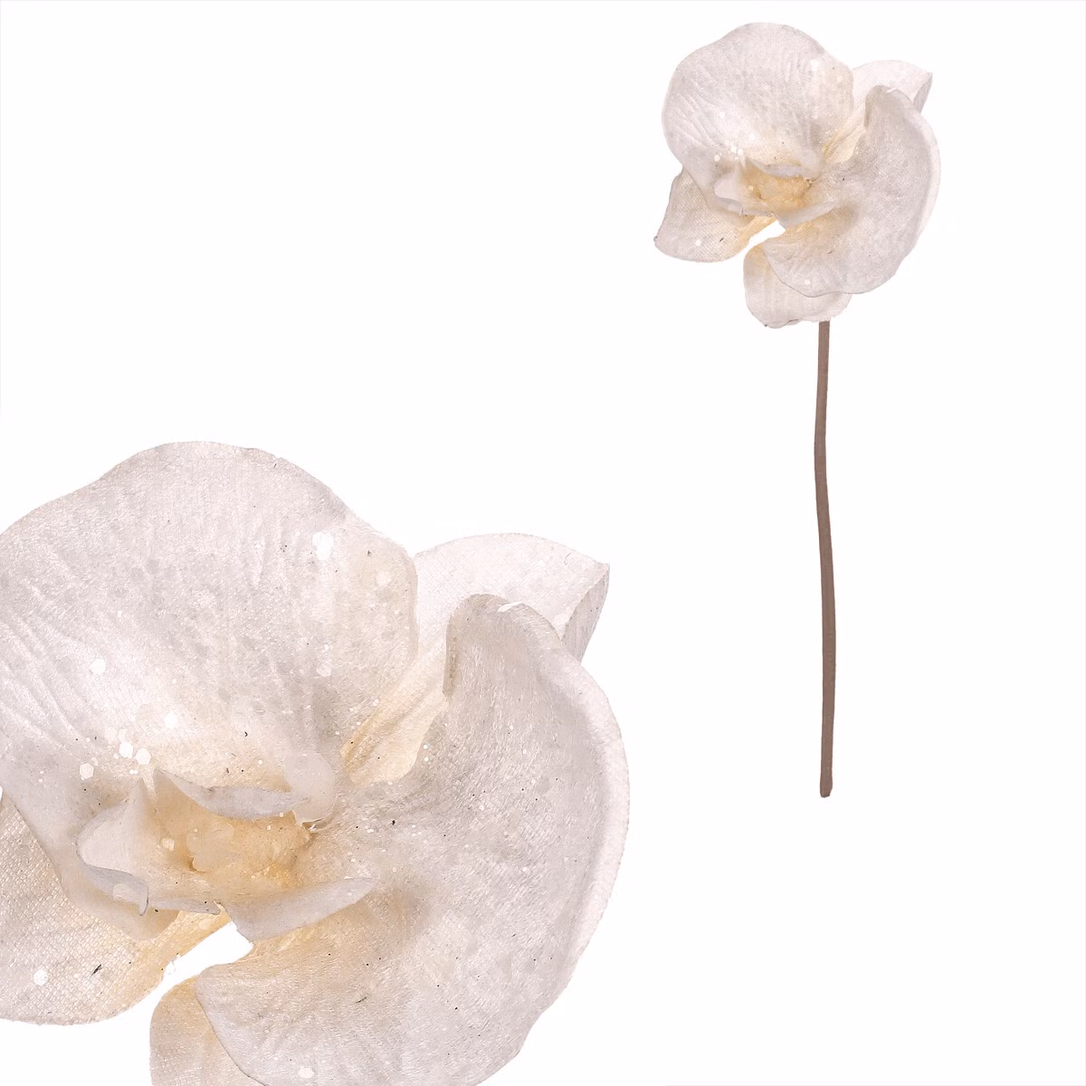 43dc4f08a53d6cec5458fe14371531e2