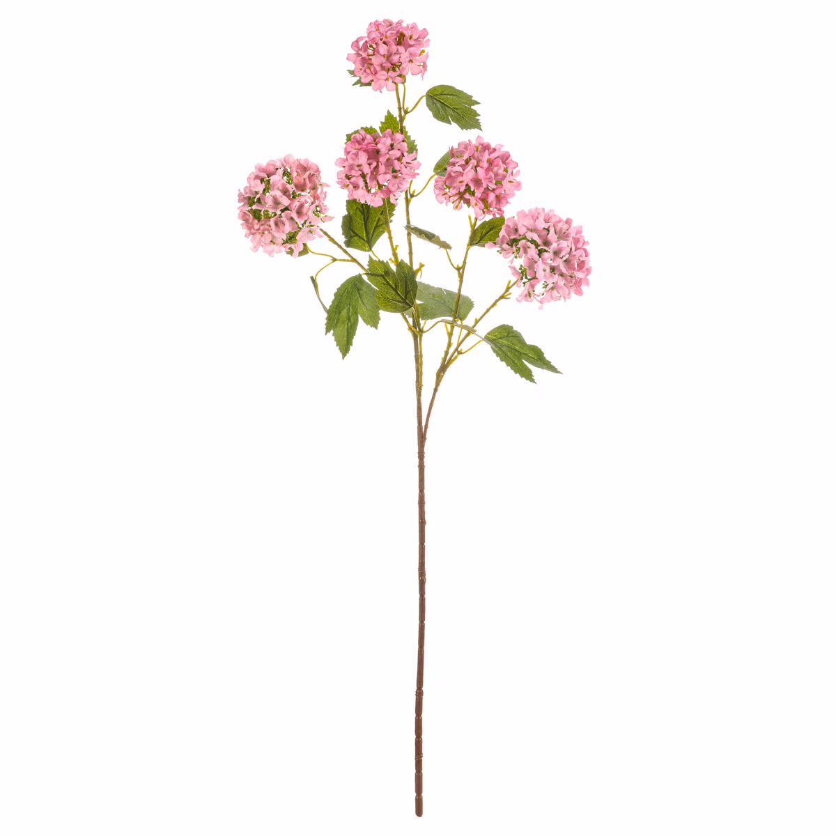 442b8f6559d77005d915b03977cc0143