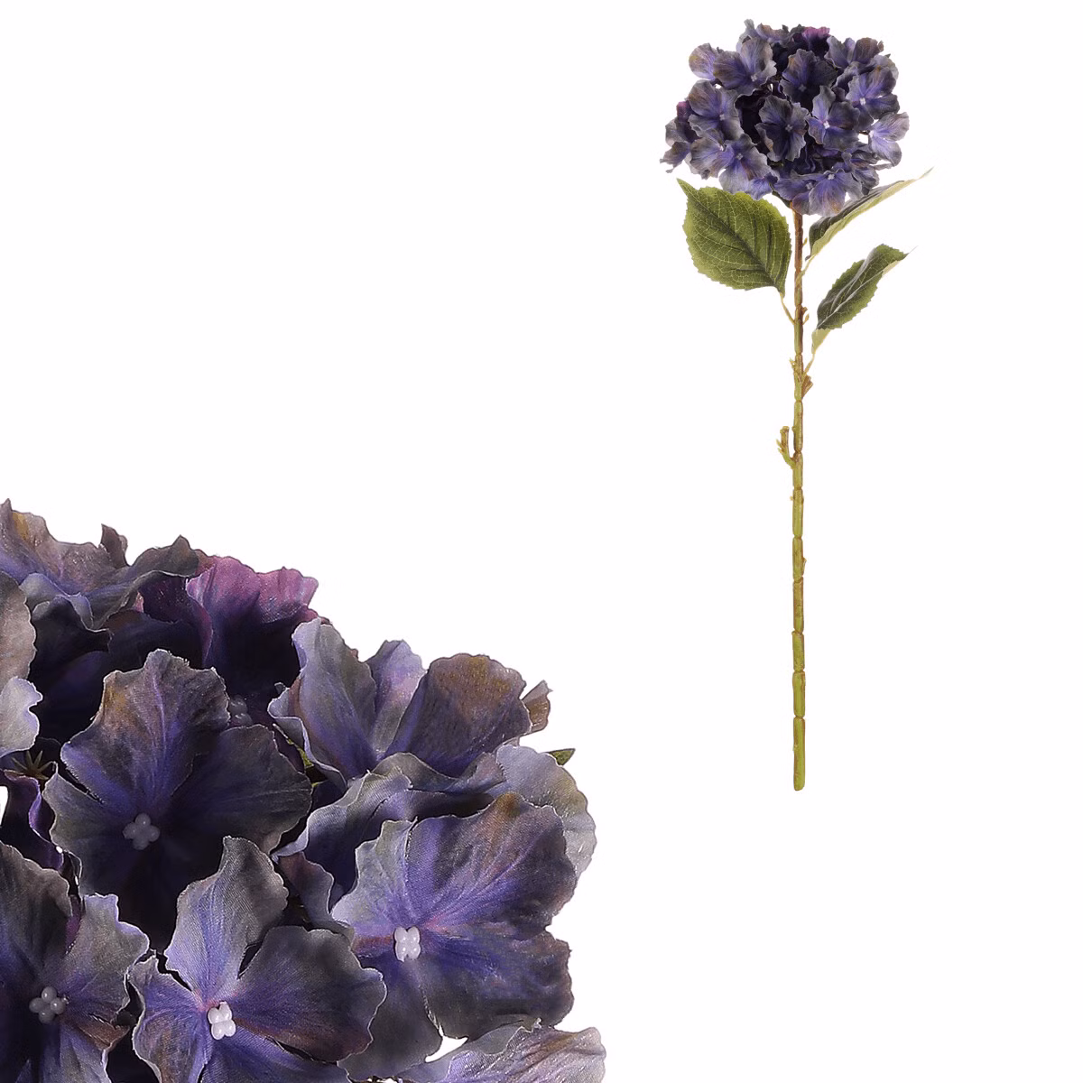 4488769a95c9422acff57656ac54136a