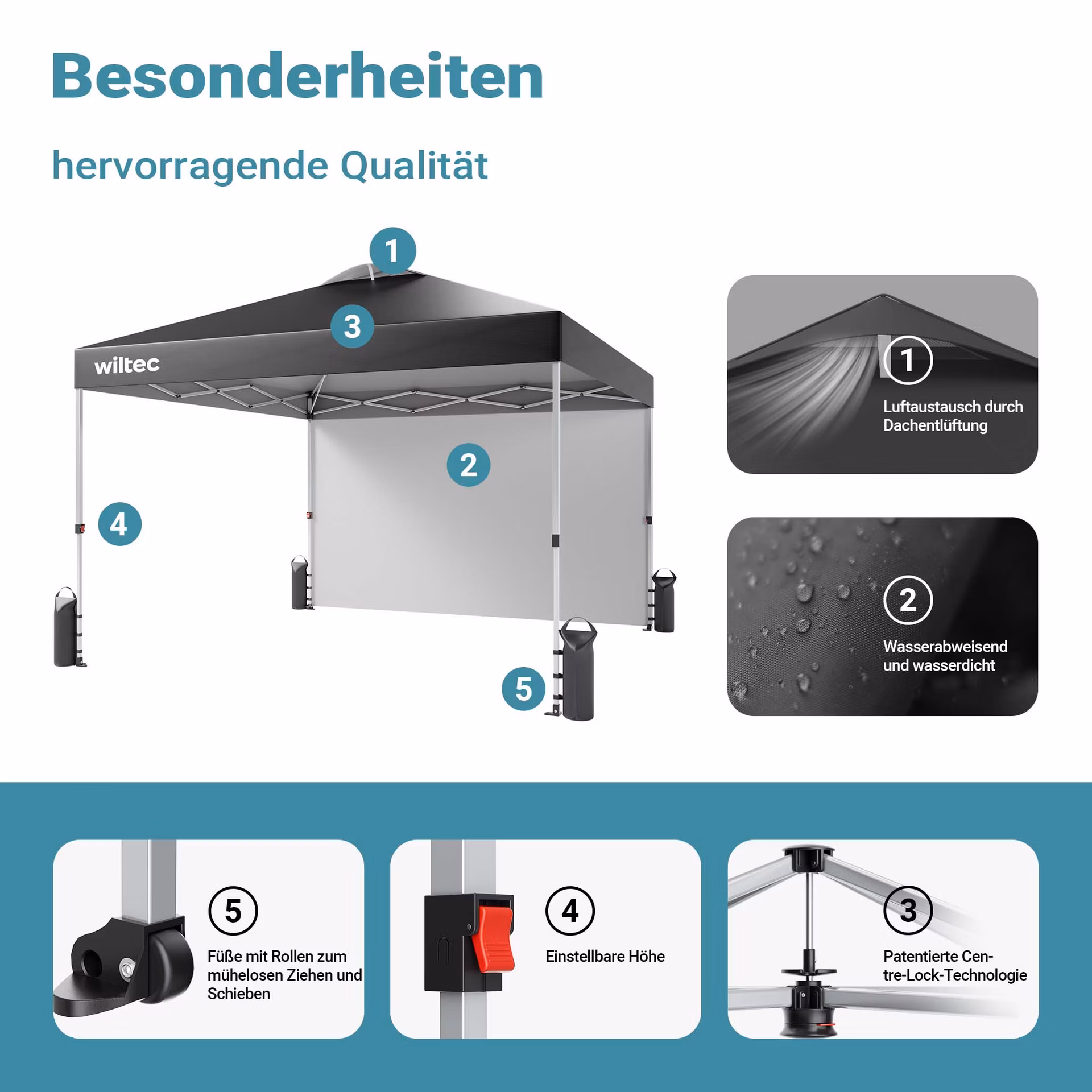 44913b0853a390e563809518f797b113