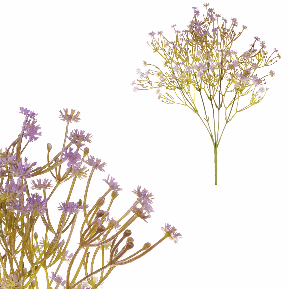 44d0c1db26d193d19f4a065b985ee83d