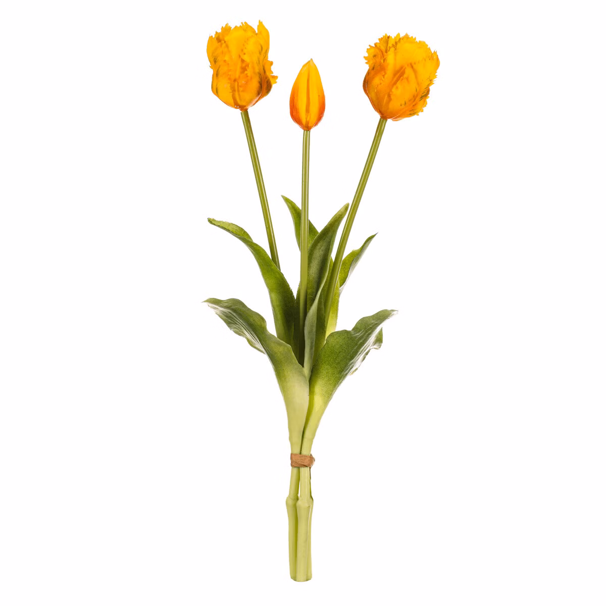 44f4946ead59cc98188abd5561f758fb