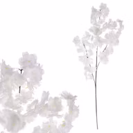 47180dd3407980bbd204419fdfec7370