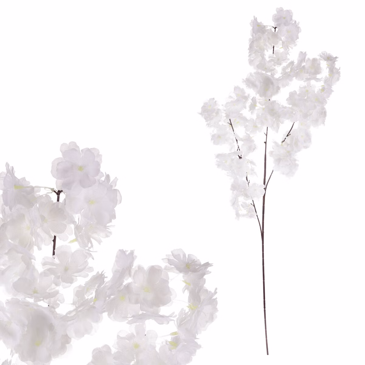 47180dd3407980bbd204419fdfec7370