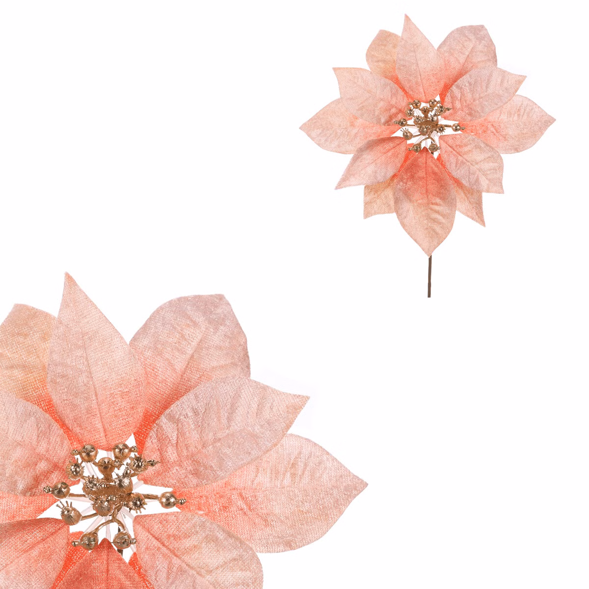 484c34e3ab906081b6a8c9af9020c638