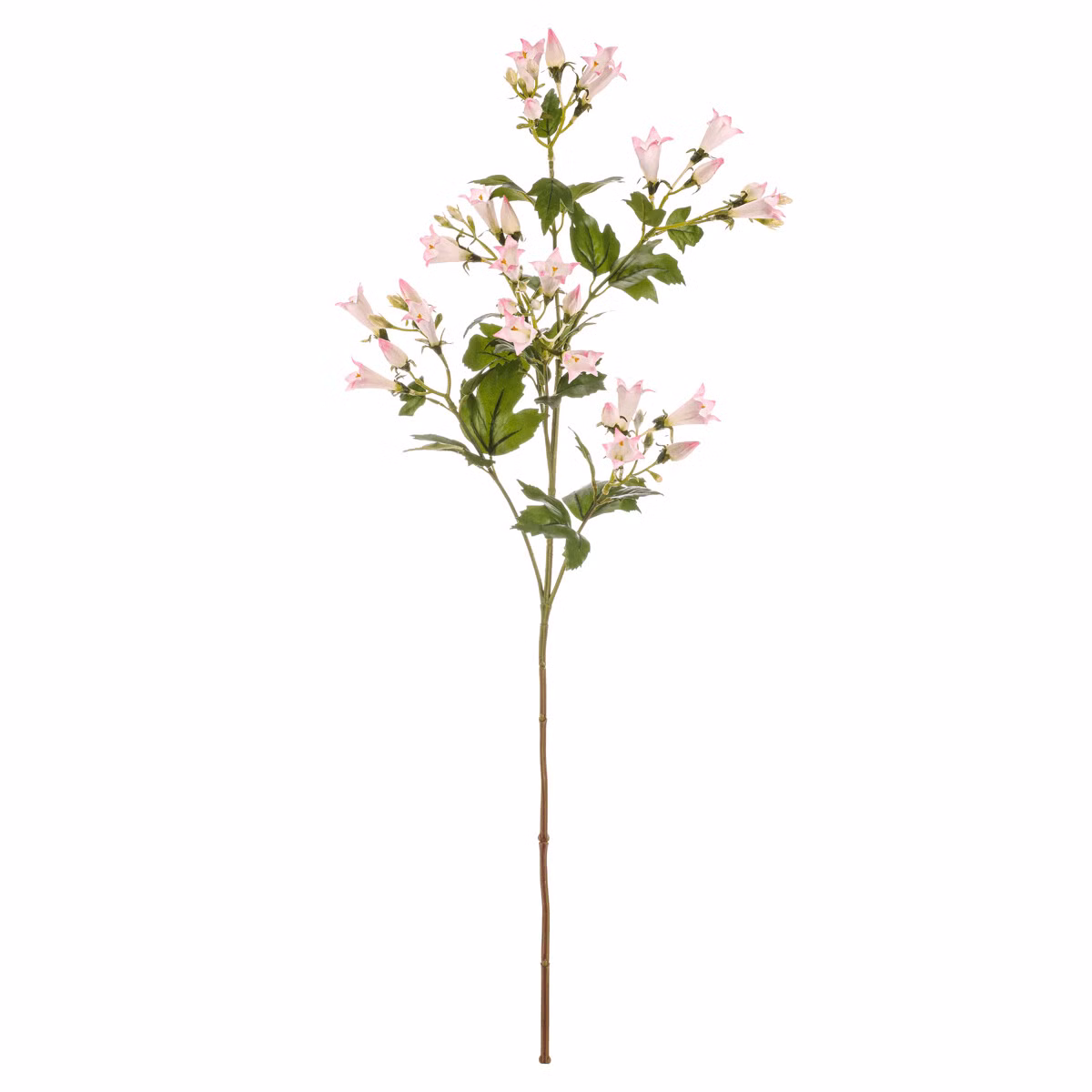 48eefc1cb3d776ccff32c742ace099fb