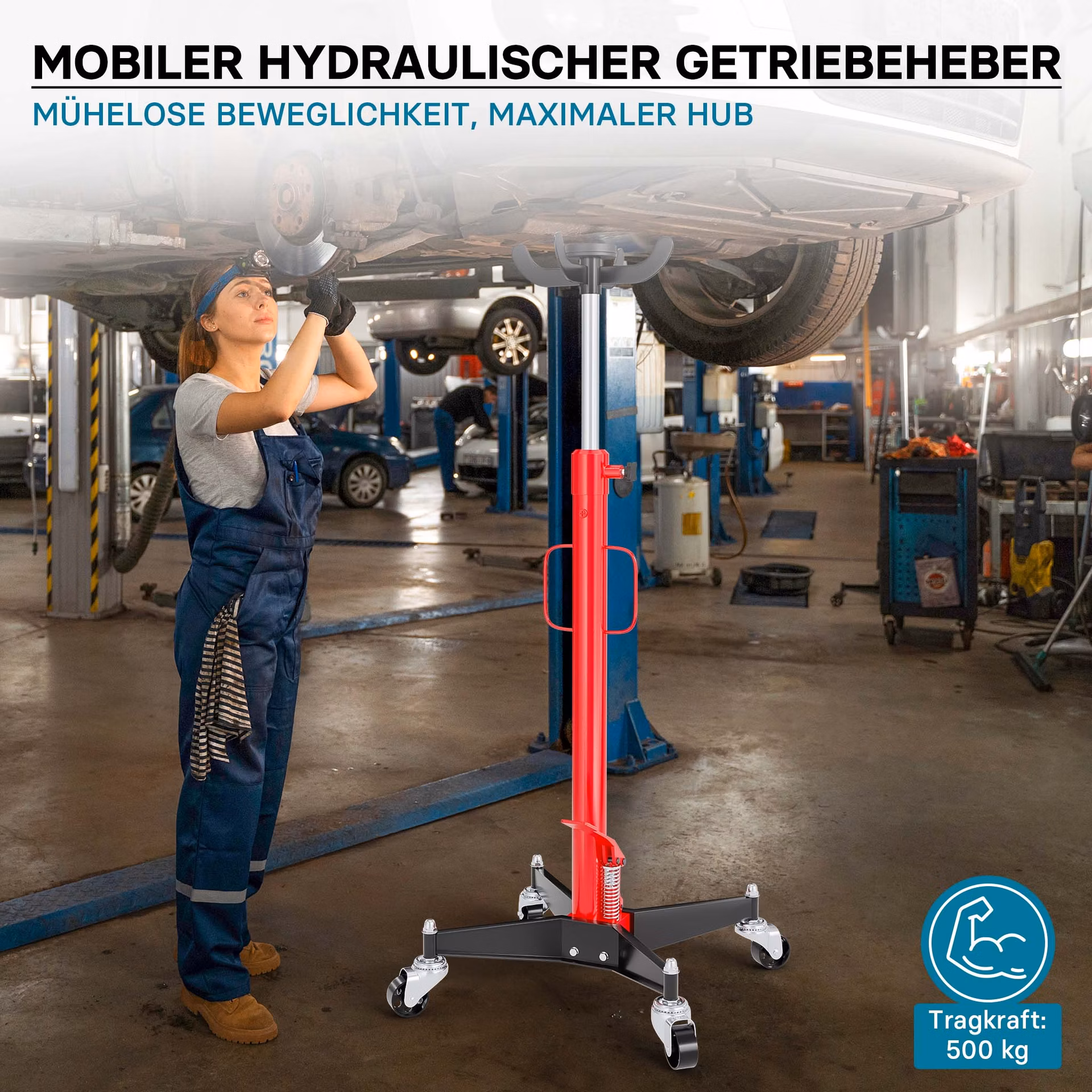 49547e00810fb8e54c159778825a427b