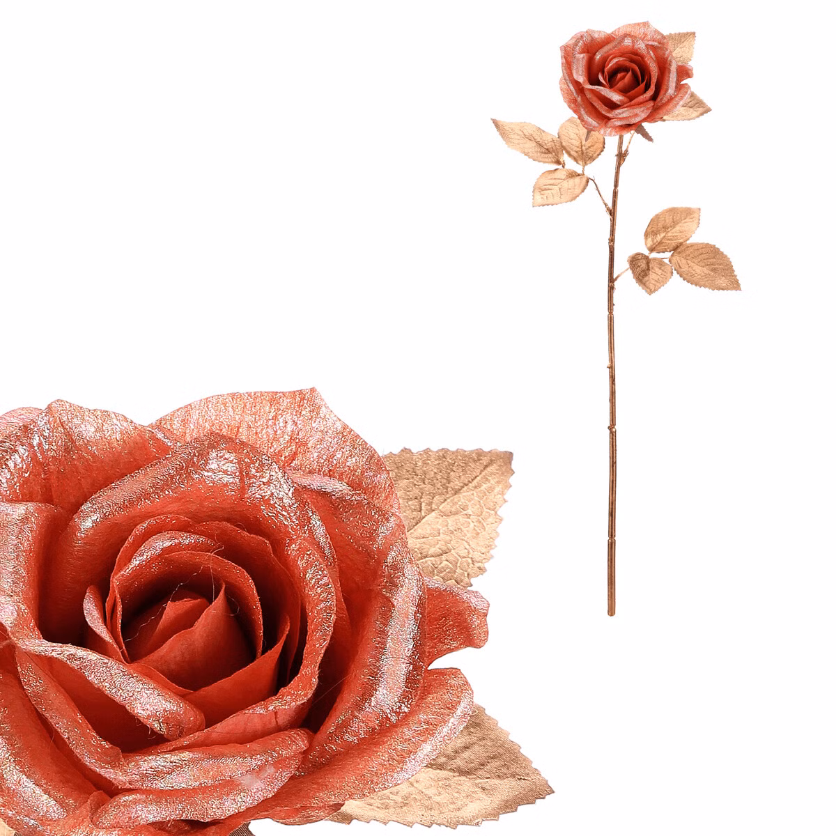 49f03c44171a7e22d663a0c0af8d7f6d