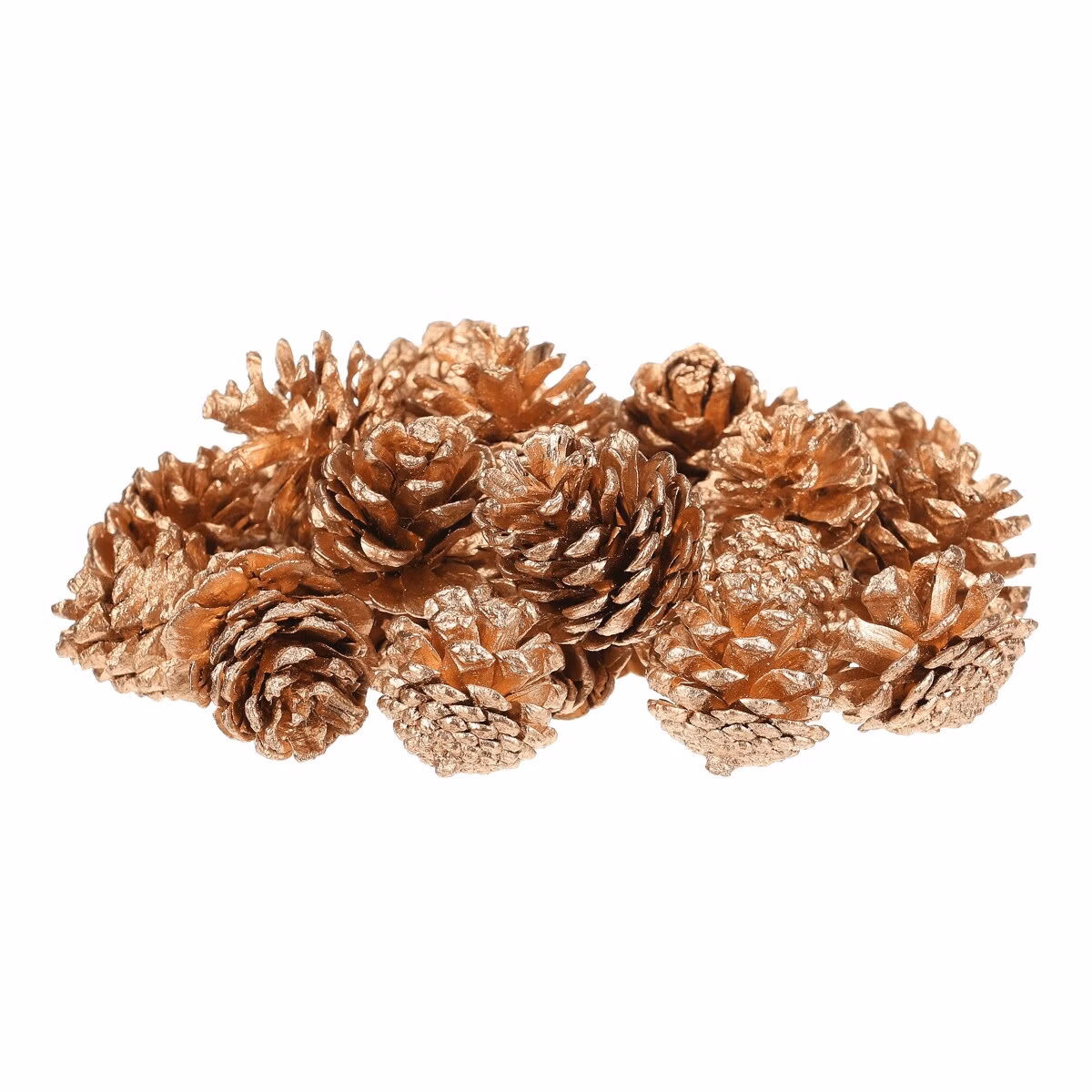 4ca04b549d73ce99d8081269580a2ac2