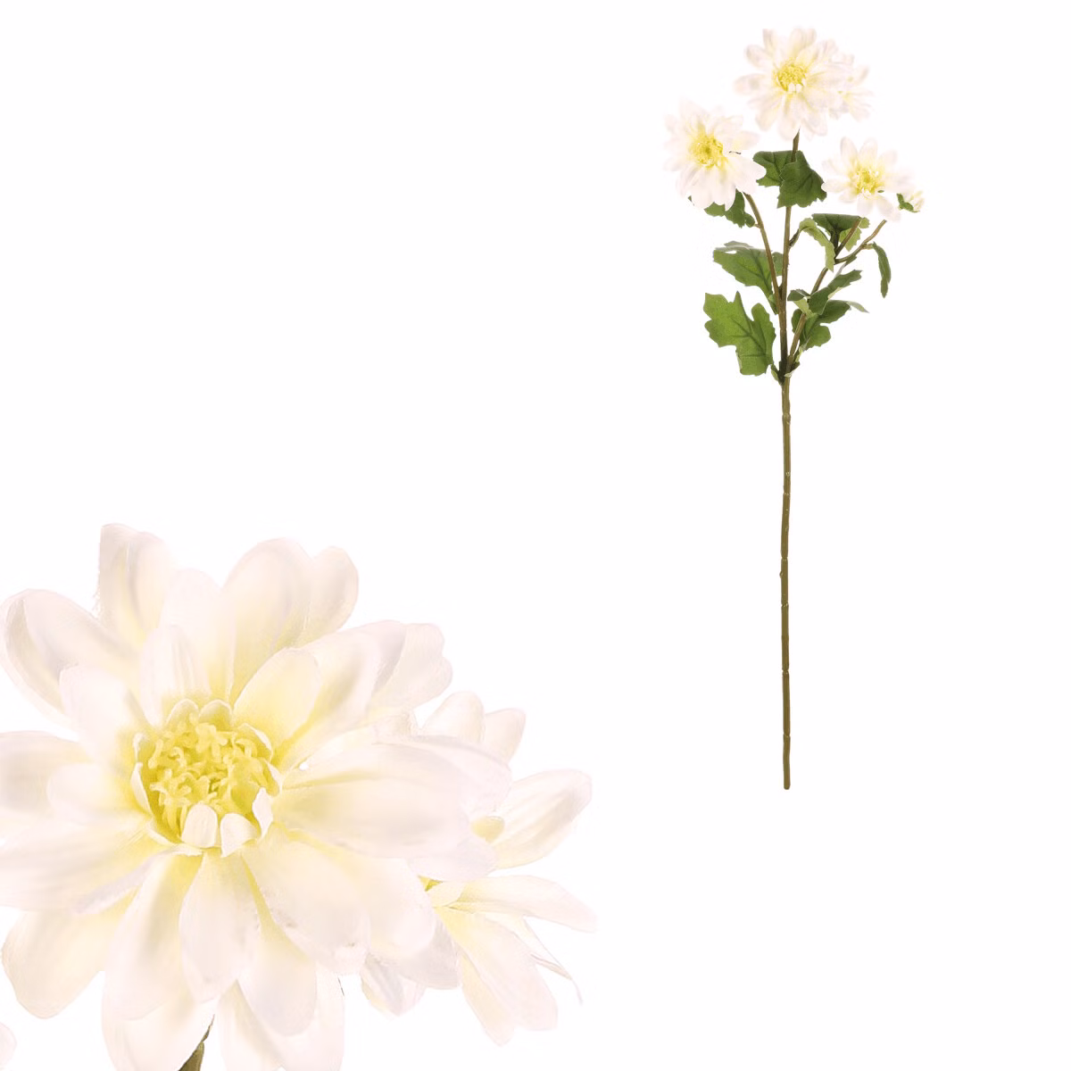 4cc91908512e87afe83329a7ab8fd727