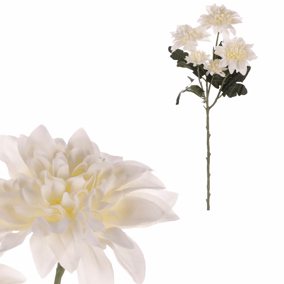 4d07ac99b80b02f3ff4f70d2f7eaba4b