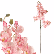 4d2d1f9688cabdbb591fc5a28ce702bd