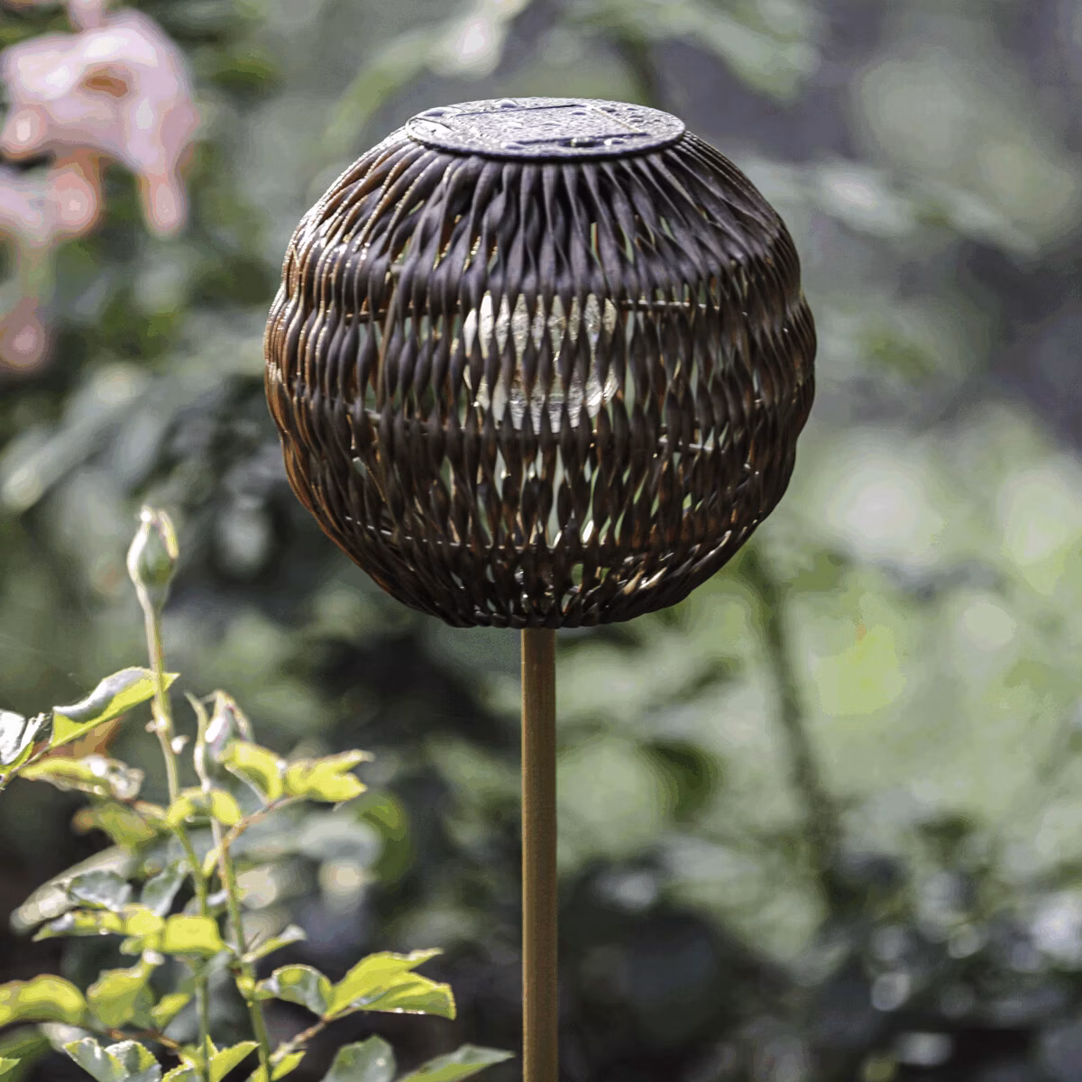 4d42b9ec17d92a545cebd6f0bbd82b19