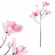 4ea731aa57b932af27af6426ab99a3af
