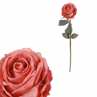 4f2786745d8d5397735dccc4da01dd2e