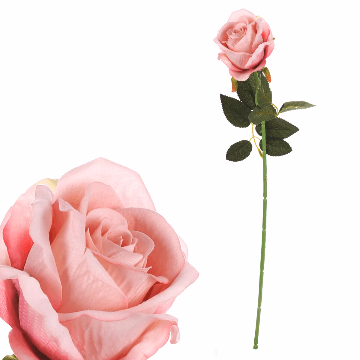 4fcdafc10fa4879cb5650f605ccaa712