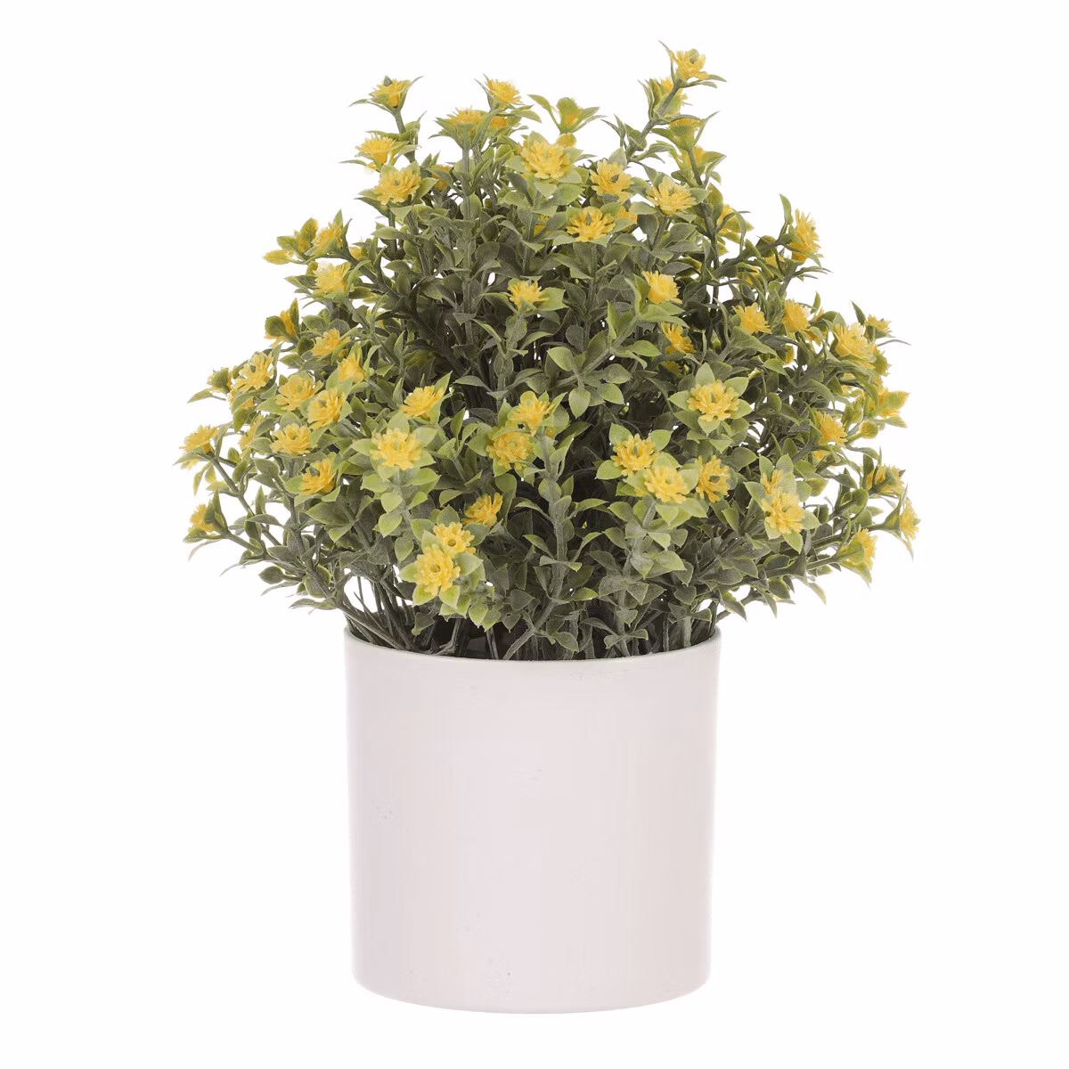 500ada13bbbf0719446f0d208bb9dee7