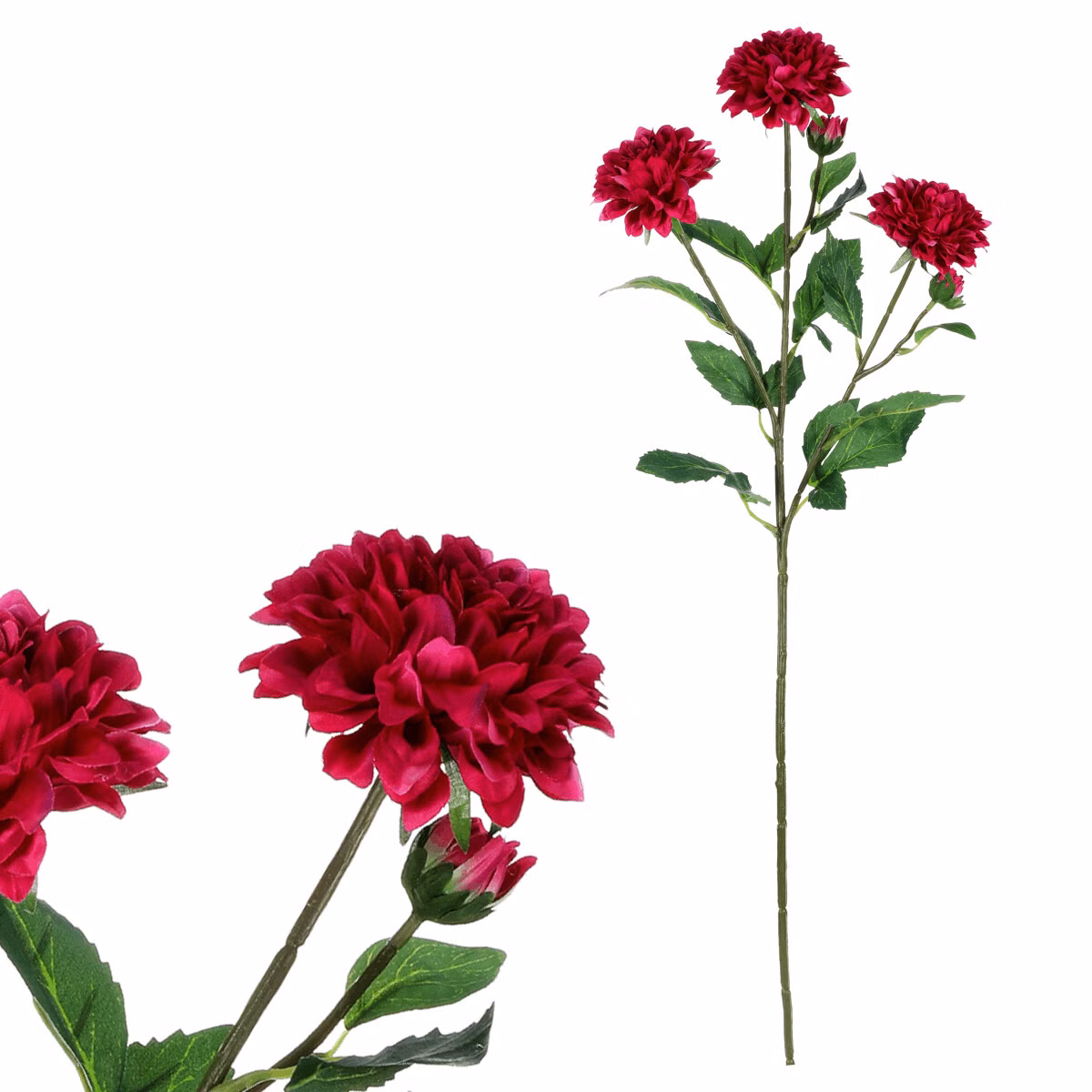 52329671f404ad1c6463ae493481700a