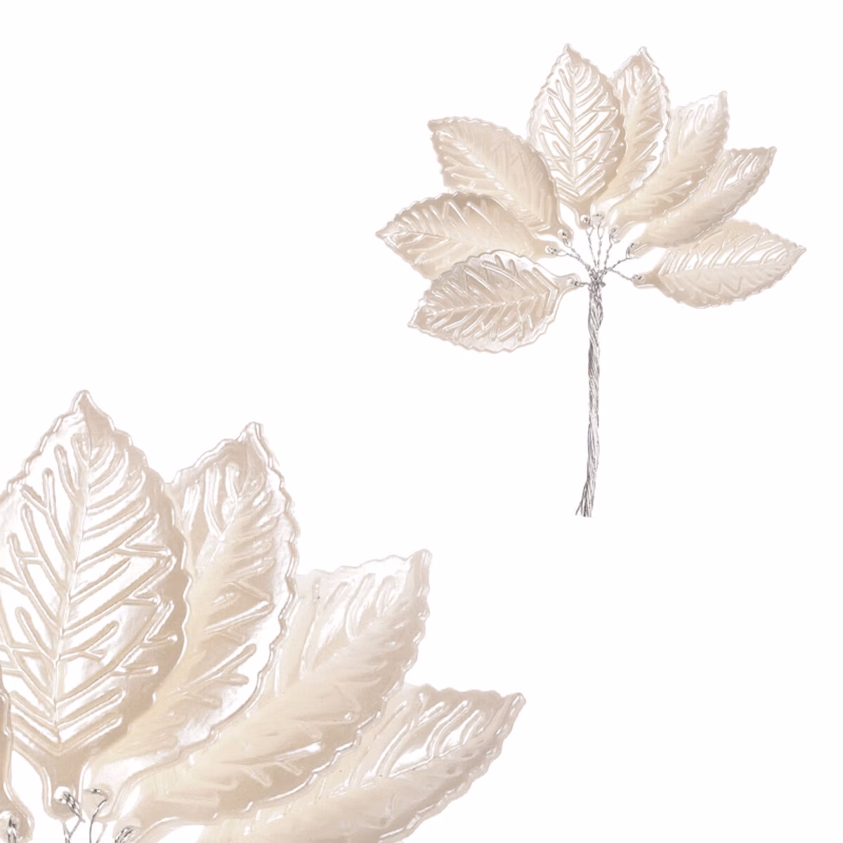 5261d577c750f801899d3dc888966ee8