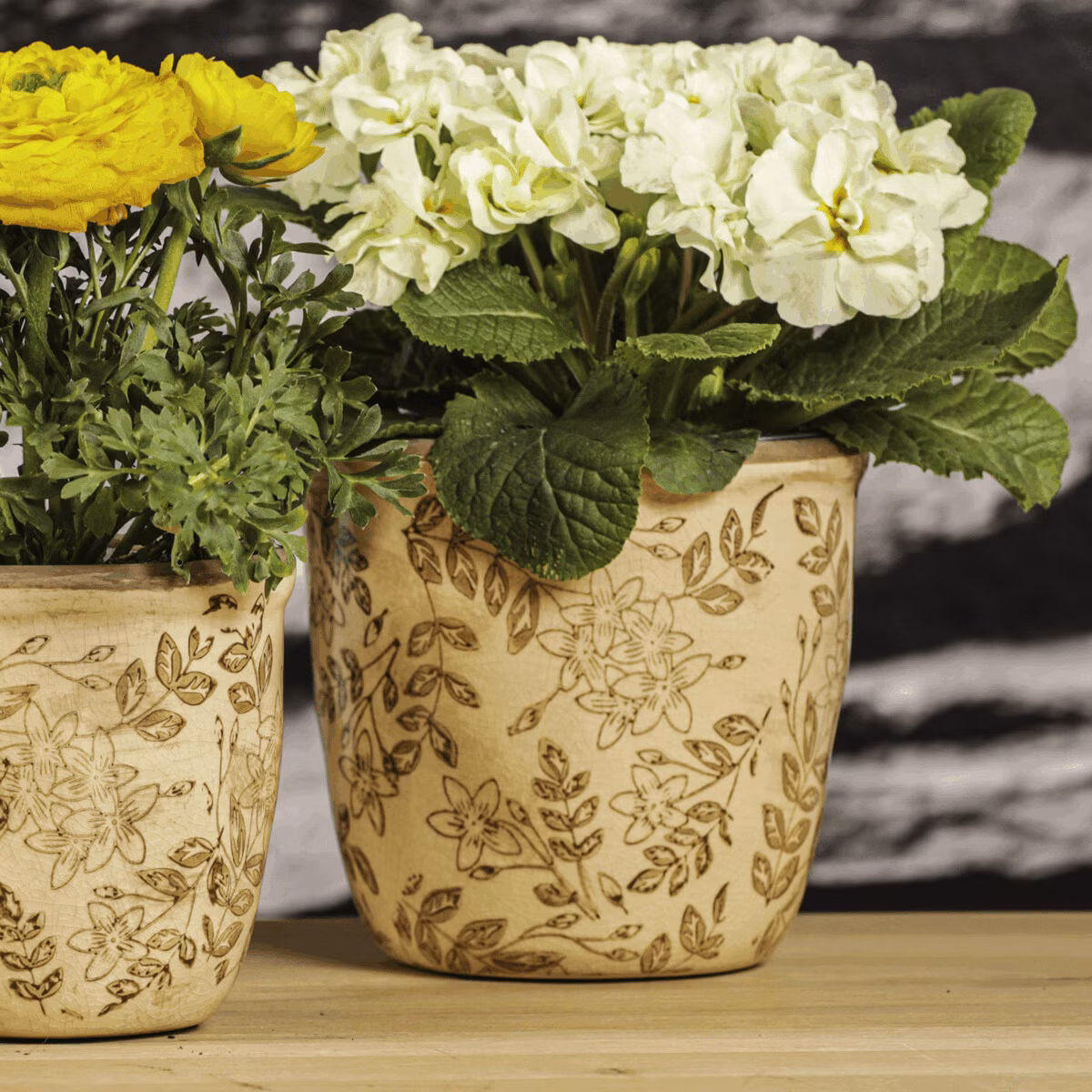 5272807530039b83c9772840db15b84e