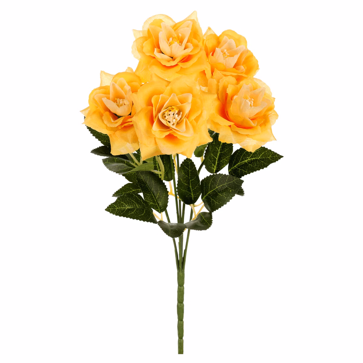 527da182c1526f8e62193131bdf1518c