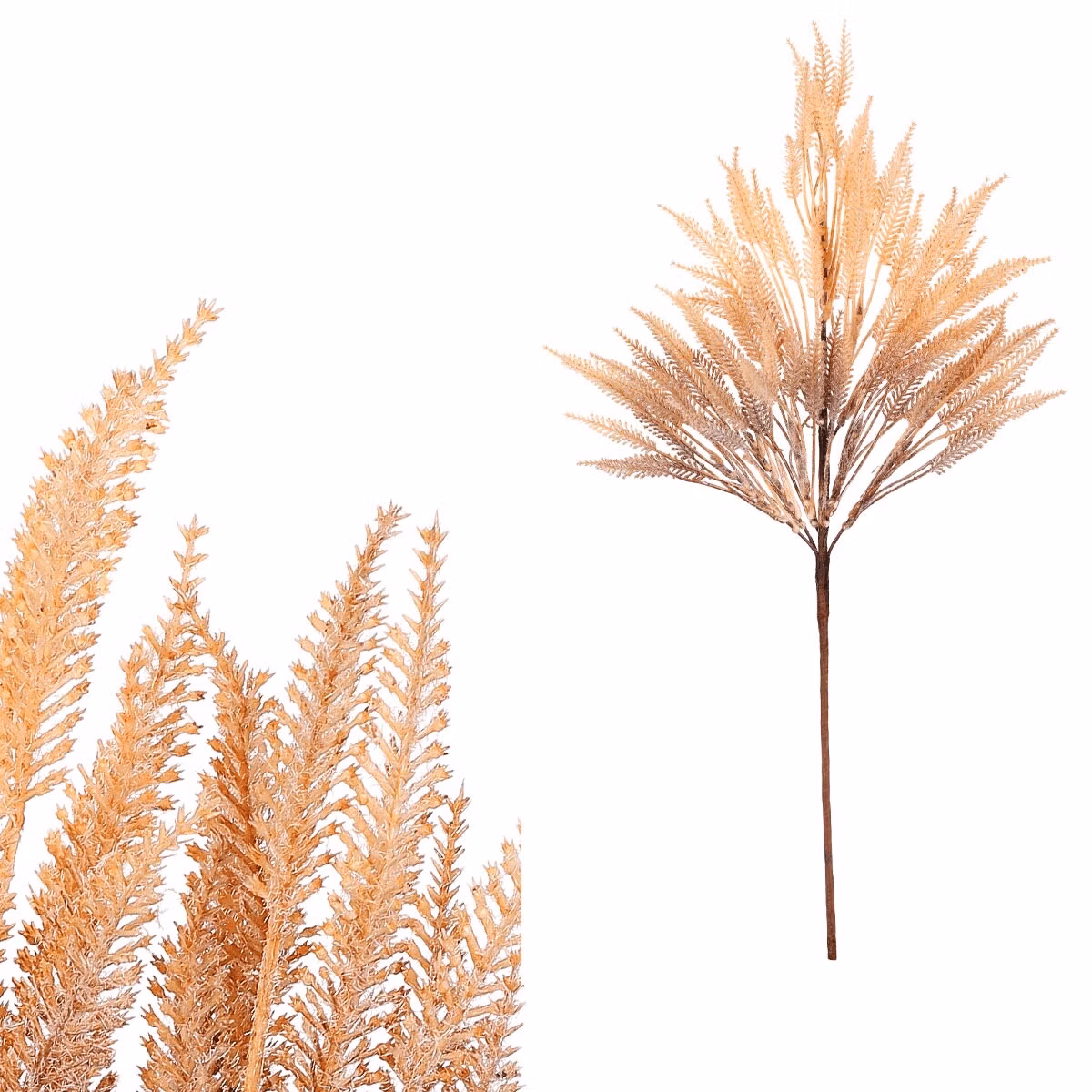 53540ffa4e812efec99dd425c911b77a