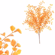 53e14ba381ebce38dbe0c2360b559ace