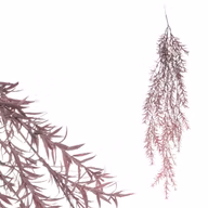 5471d43ee01c5585dd52fc2186c6b259