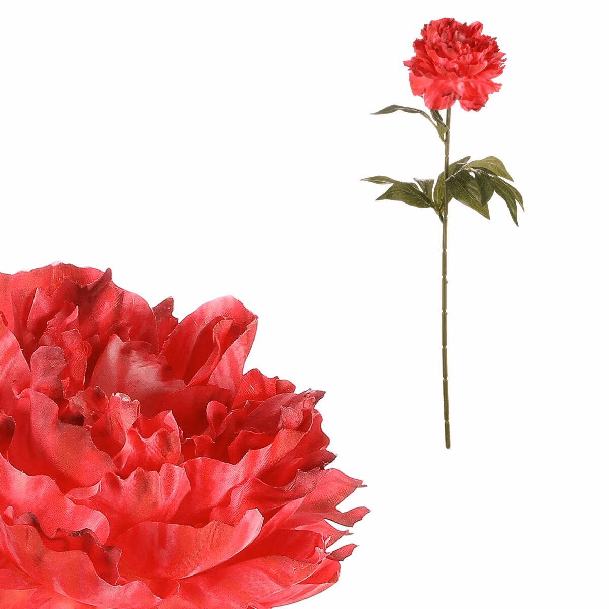 54c2898f343b4540bed83e6c564c15fc