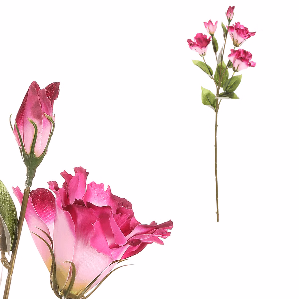 552a59a5ba9e963c4f8f42851dab2ce4